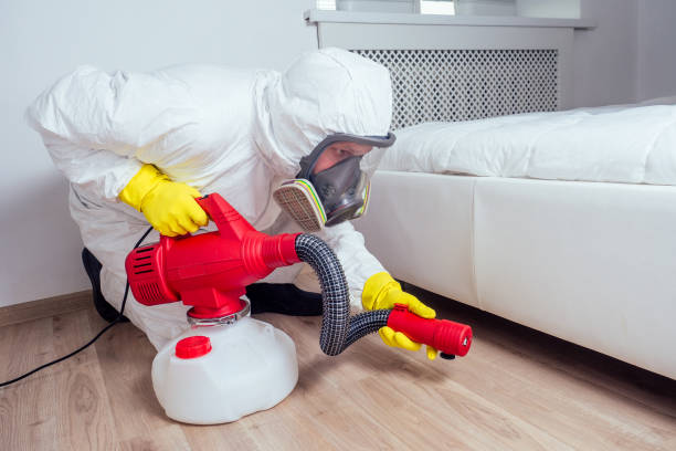 Wasp Removal Services in Como, MS