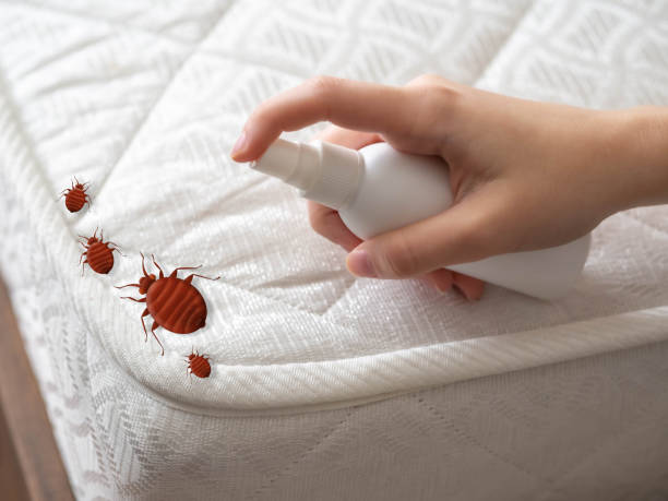 Best Exterminator Services  in Como, MS