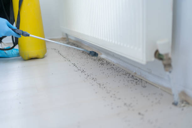 Best Pest Control for Restaurants  in Como, MS