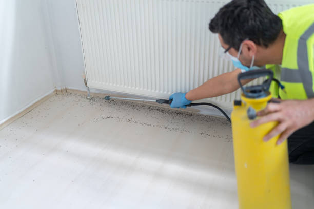 Best Commercial Pest Control Services  in Como, MS
