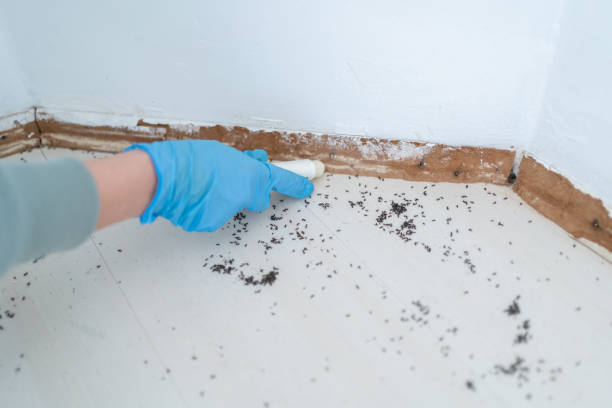 Best Residential Pest Control  in Como, MS